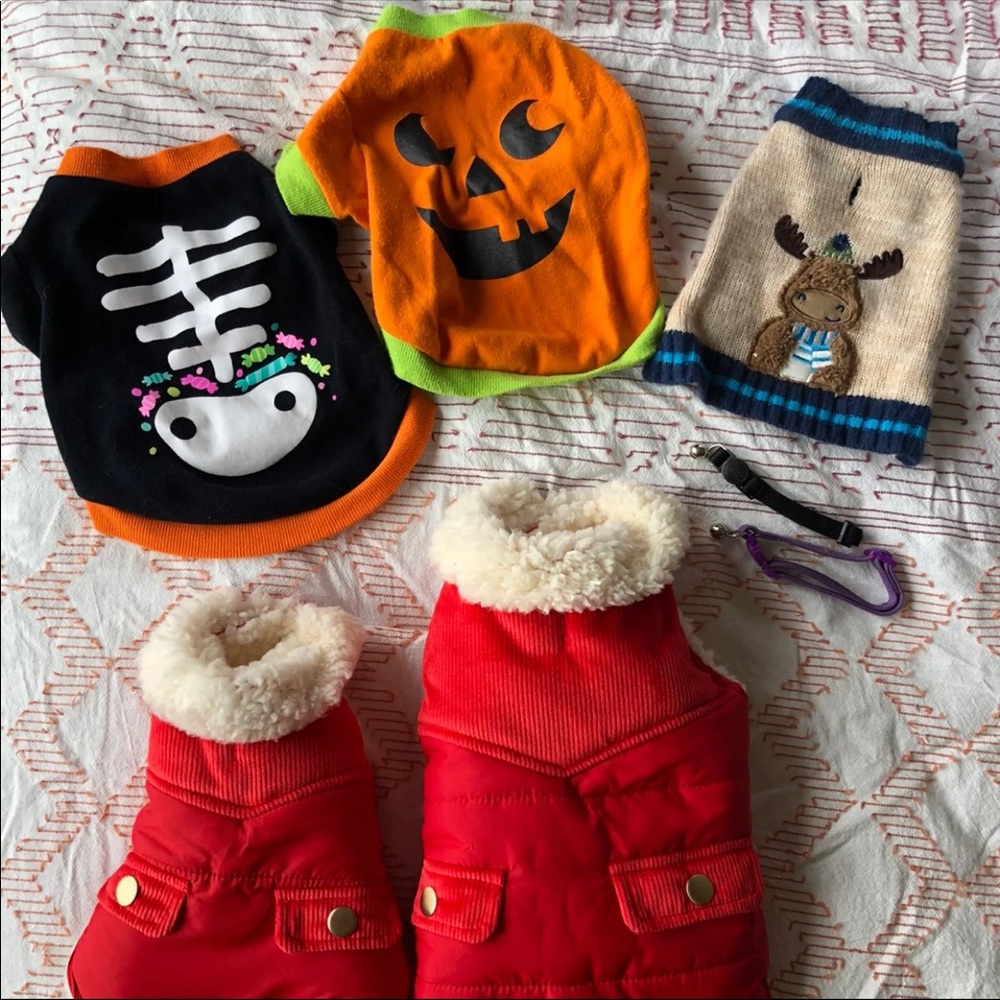 pet clothes